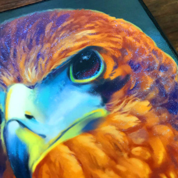 Hawk Vibrant Feathers Canvas Art Print