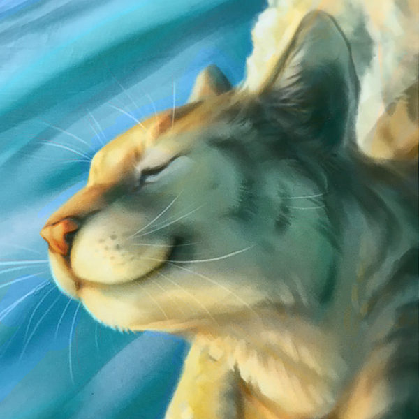 Lifes A Beach Cat Canvas Print