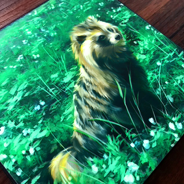 Tanuki Racoon Dog Canvas Print