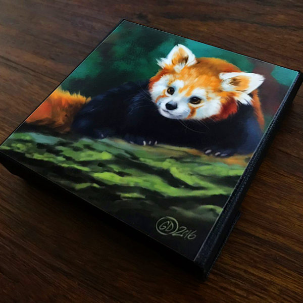 Curious Red Panda Canvas Painting