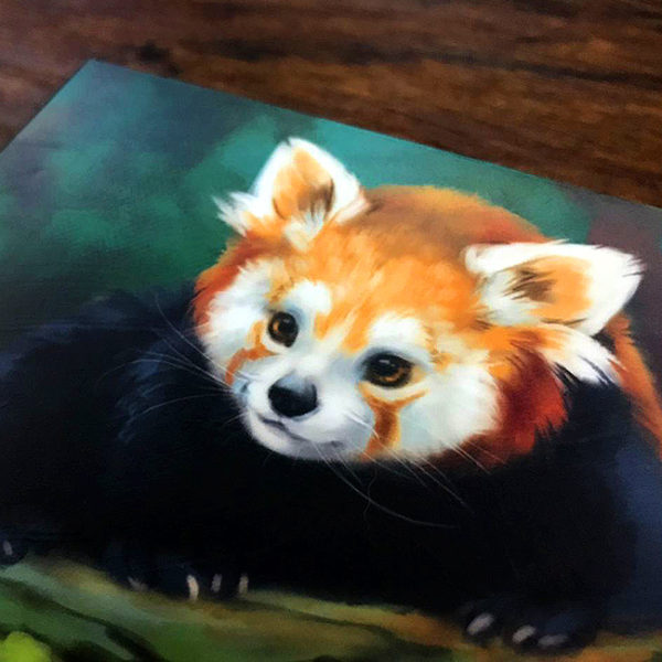 Curious Red Panda Canvas Painting