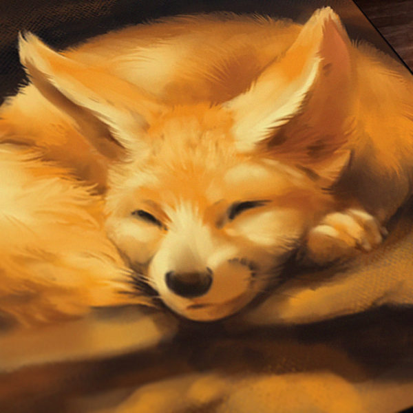 Napping Fennec Canvas Art Print