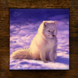 Snowcap Arctic Fox Canvas Art Print