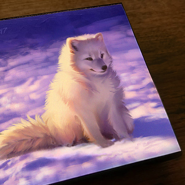 Snowcap Arctic Fox Canvas Art Print