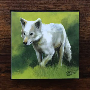 Walking White Wolf Canvas Art Print