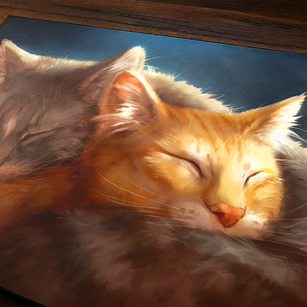 Pet Cats Close to the Heart Canvas Art Print