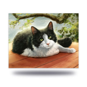 Rascal Black And White Cat Art Print