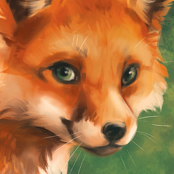 Spring Eyes Fox Canvas Art Print